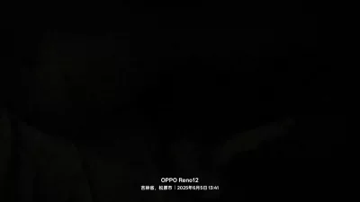 大鸡吧操熟女骚逼