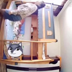 状元的小公主(1v1)全文免费阅读